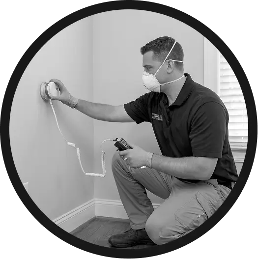 The Importance of Mold Testing